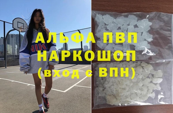 гашик Алексеевка