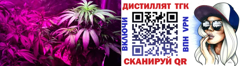 Купить где  Магнитогорск  Дистиллят ТГК вейп 