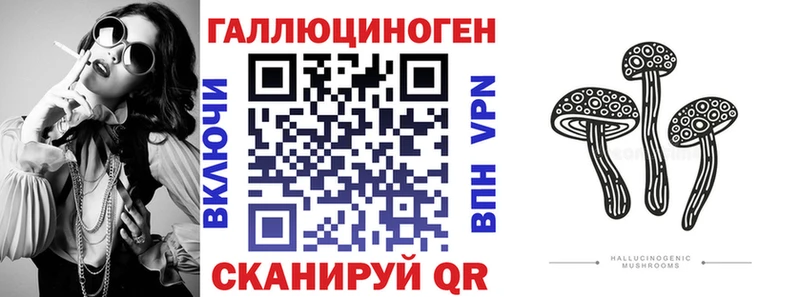 Купить где  Магнитогорск  Галлюциногенные грибы Cubensis 